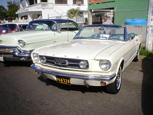 William Crespo :: Mustang 1965